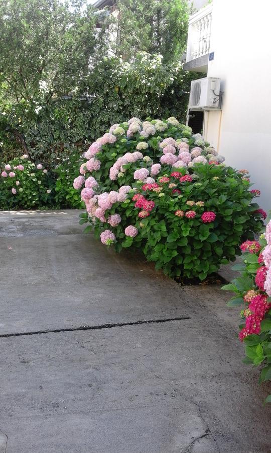 Apartments Ratkovic ติวัต ภายนอก รูปภาพ