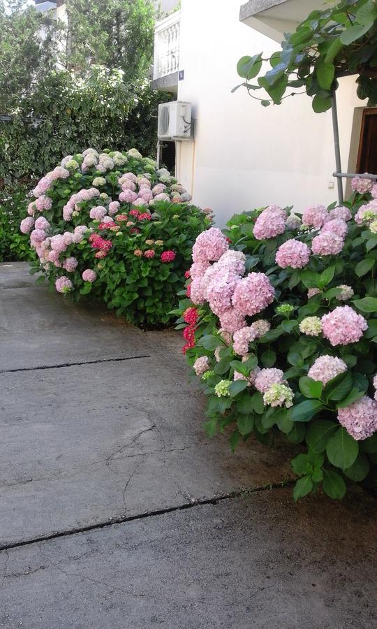 Apartments Ratkovic ติวัต ภายนอก รูปภาพ